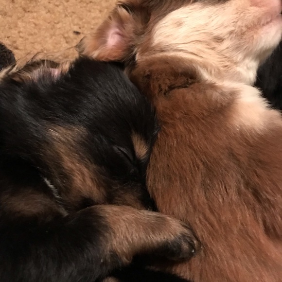 No Trades For Our Items; But We Will Take Offers! - Picture 5 of 8